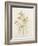 Japanese Anemones-Alison Cooper-Framed Giclee Print