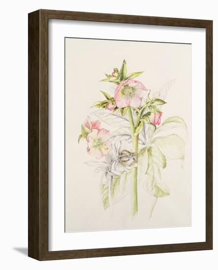 Japanese Anemones-Alison Cooper-Framed Giclee Print