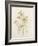 Japanese Anemones-Alison Cooper-Framed Giclee Print