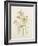 Japanese Anemones-Alison Cooper-Framed Giclee Print