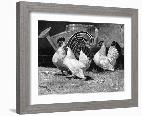 Japanese Bantam Hens, 1890-Carter Beard-Framed Art Print