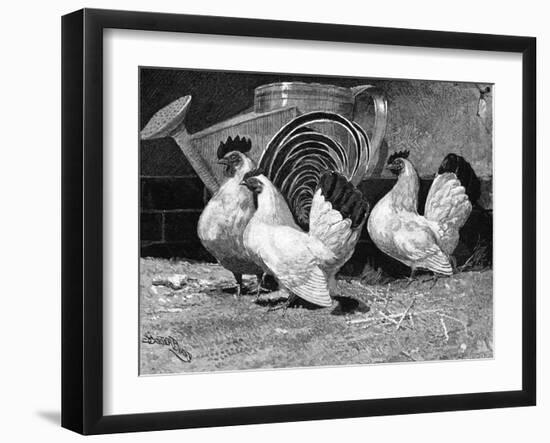 Japanese Bantam Hens, 1890-Carter Beard-Framed Art Print