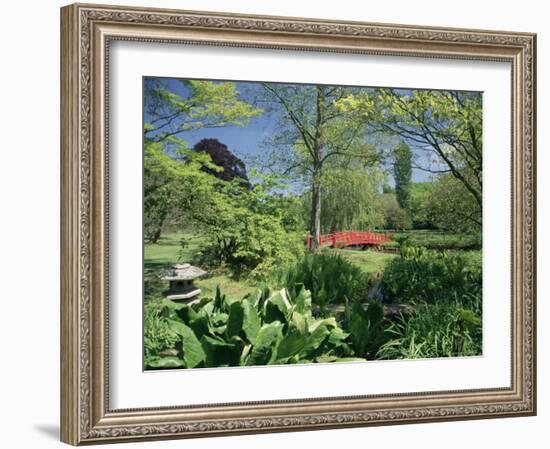 Japanese Bridge, Heale House Gardens, Middle Woodford, Wiltshire, England, United Kingdom-Chris Nicholson-Framed Photographic Print