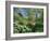 Japanese Bridge, Heale House Gardens, Middle Woodford, Wiltshire, England, United Kingdom-Chris Nicholson-Framed Photographic Print