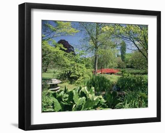 Japanese Bridge, Heale House Gardens, Middle Woodford, Wiltshire, England, United Kingdom-Chris Nicholson-Framed Photographic Print