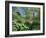 Japanese Bridge, Heale House Gardens, Middle Woodford, Wiltshire, England, United Kingdom-Chris Nicholson-Framed Photographic Print