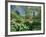 Japanese Bridge, Heale House Gardens, Middle Woodford, Wiltshire, England, United Kingdom-Chris Nicholson-Framed Photographic Print