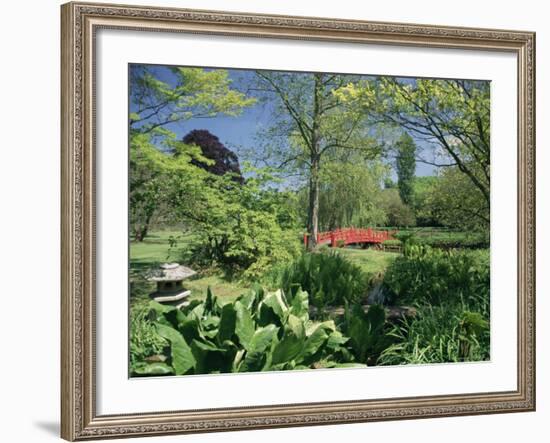 Japanese Bridge, Heale House Gardens, Middle Woodford, Wiltshire, England, United Kingdom-Chris Nicholson-Framed Photographic Print