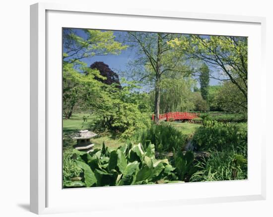 Japanese Bridge, Heale House Gardens, Middle Woodford, Wiltshire, England, United Kingdom-Chris Nicholson-Framed Photographic Print