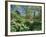 Japanese Bridge, Heale House Gardens, Middle Woodford, Wiltshire, England, United Kingdom-Chris Nicholson-Framed Photographic Print