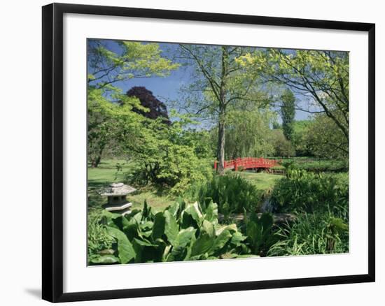 Japanese Bridge, Heale House Gardens, Middle Woodford, Wiltshire, England, United Kingdom-Chris Nicholson-Framed Photographic Print