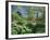 Japanese Bridge, Heale House Gardens, Middle Woodford, Wiltshire, England, United Kingdom-Chris Nicholson-Framed Photographic Print