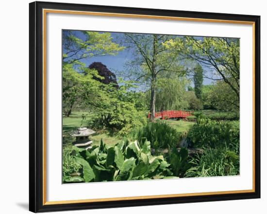 Japanese Bridge, Heale House Gardens, Middle Woodford, Wiltshire, England, United Kingdom-Chris Nicholson-Framed Photographic Print