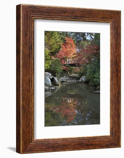 Japanese Bridge in Momijidani Park (Japanese Maple Park) in Autumn-Stuart Black-Framed Photographic Print