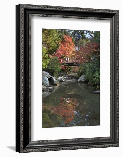 Japanese Bridge in Momijidani Park (Japanese Maple Park) in Autumn-Stuart Black-Framed Photographic Print