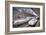 Japanese Bullet Trains-null-Framed Art Print