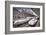 Japanese Bullet Trains-null-Framed Art Print