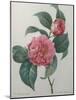 Japanese Camellia-Pierre-Joseph Redoute-Mounted Art Print