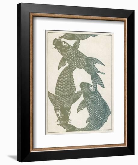 Japanese Carp Twisting Turning and Twining with Wonderful Ease-null-Framed Photographic Print