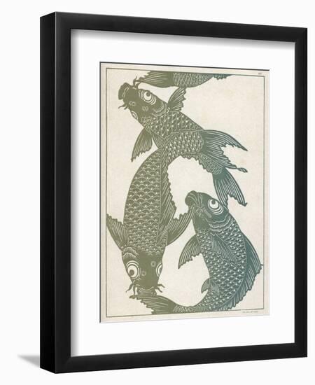 Japanese Carp Twisting Turning and Twining with Wonderful Ease-null-Framed Photographic Print