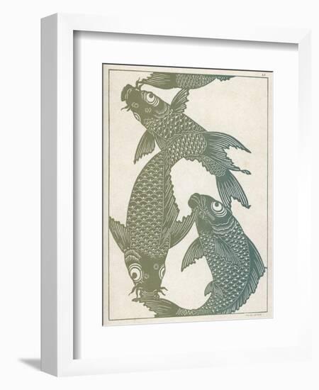 Japanese Carp Twisting Turning and Twining with Wonderful Ease-null-Framed Photographic Print