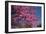 Japanese Cherry Blossom-Krakatuk-Framed Photographic Print