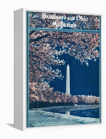 Japanese Cherry Blossoms 1924-H.H. Rideout-Framed Premier Image Canvas