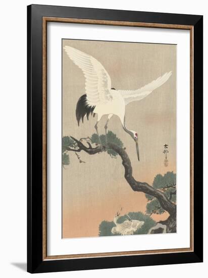 Japanese Crane on Pine Branch, 1900-30-Ohara Koson-Framed Art Print