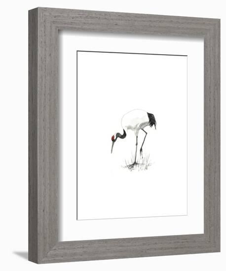 Japanese Cranes II-Naomi McCavitt-Framed Art Print