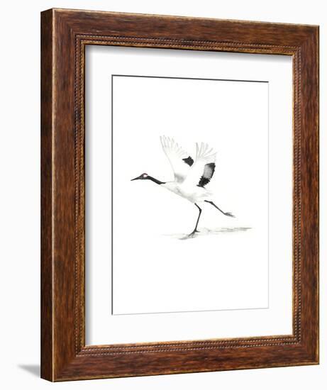 Japanese Cranes III-Naomi McCavitt-Framed Art Print