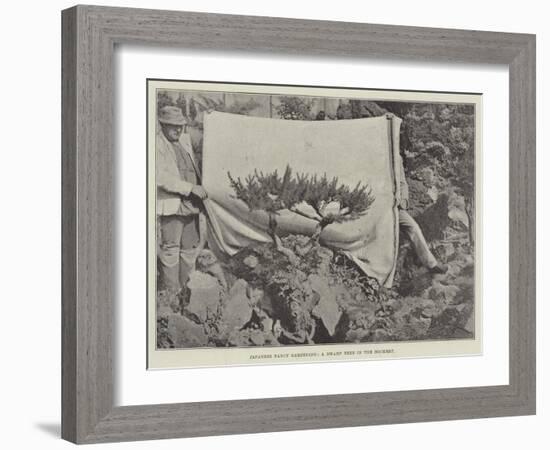 Japanese Fancy Gardening, a Dwarf Tree in the Rockery-null-Framed Giclee Print