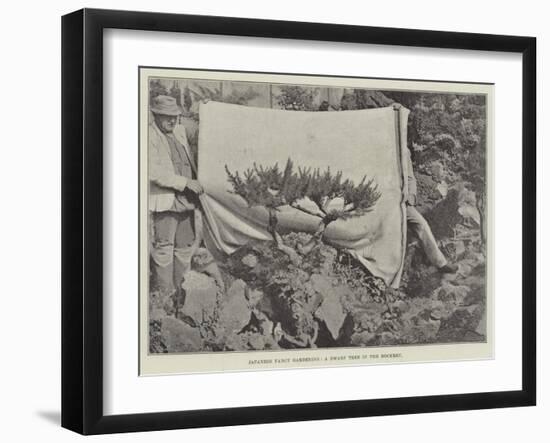 Japanese Fancy Gardening, a Dwarf Tree in the Rockery-null-Framed Giclee Print