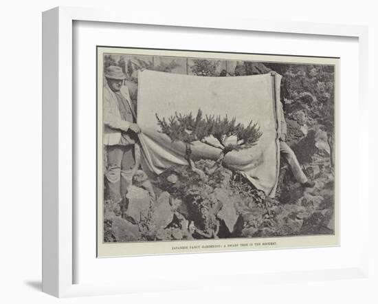 Japanese Fancy Gardening, a Dwarf Tree in the Rockery-null-Framed Giclee Print