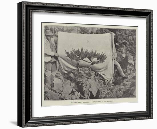 Japanese Fancy Gardening, a Dwarf Tree in the Rockery-null-Framed Giclee Print