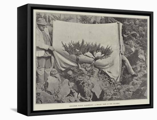 Japanese Fancy Gardening, a Dwarf Tree in the Rockery-null-Framed Premier Image Canvas