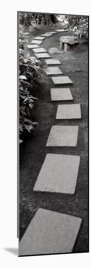 Japanese Garden #1-Alan Blaustein-Mounted Photographic Print