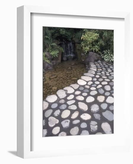 Japanese Garden at Butchart Gardens, Vancouver Island, British Columbia, Canada-Connie Ricca-Framed Photographic Print