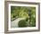 Japanese Garden at the Washington Park Arboretum, Seattle, Washington, USA-Dennis Flaherty-Framed Photographic Print