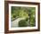 Japanese Garden at the Washington Park Arboretum, Seattle, Washington, USA-Dennis Flaherty-Framed Photographic Print