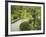 Japanese Garden at the Washington Park Arboretum, Seattle, Washington, USA-Dennis Flaherty-Framed Photographic Print