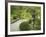 Japanese Garden at the Washington Park Arboretum, Seattle, Washington, USA-Dennis Flaherty-Framed Photographic Print