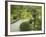 Japanese Garden at the Washington Park Arboretum, Seattle, Washington, USA-Dennis Flaherty-Framed Photographic Print