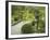 Japanese Garden at the Washington Park Arboretum, Seattle, Washington, USA-Dennis Flaherty-Framed Photographic Print