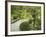 Japanese Garden at the Washington Park Arboretum, Seattle, Washington, USA-Dennis Flaherty-Framed Photographic Print