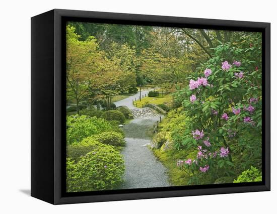 Japanese Garden at the Washington Park Arboretum, Seattle, Washington, USA-Dennis Flaherty-Framed Premier Image Canvas