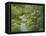 Japanese Garden at the Washington Park Arboretum, Seattle, Washington, USA-Dennis Flaherty-Framed Premier Image Canvas