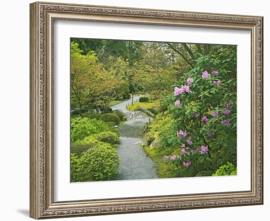 Japanese Garden at the Washington Park Arboretum, Seattle, Washington, USA-Dennis Flaherty-Framed Photographic Print