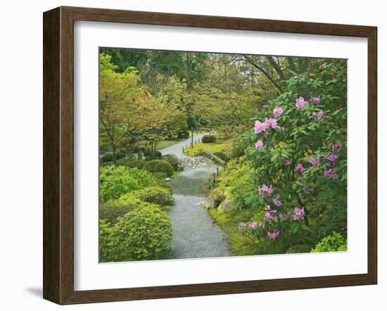 Japanese Garden at the Washington Park Arboretum, Seattle, Washington, USA-Dennis Flaherty-Framed Photographic Print