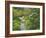 Japanese Garden at the Washington Park Arboretum, Seattle, Washington, USA-Dennis Flaherty-Framed Photographic Print