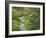 Japanese Garden at the Washington Park Arboretum, Seattle, Washington, USA-Dennis Flaherty-Framed Photographic Print